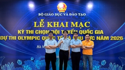 Two students from Da Nang have been selected for the national team to compete in the 2026 Asia-Pacific Informatics Olympiad.