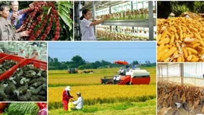 Exportações agrícolas no 1º trimestre de 2026: o valor atingiu US$ 16,69 bilhões em meio à queda dos preços de muitas commodities.