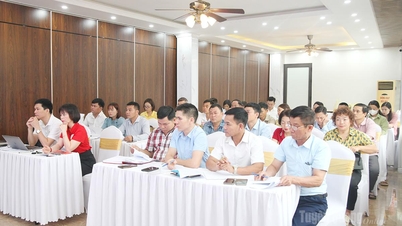 Triển khai Dự án cứu trợ khẩn cấp gia đình bị thiệt hại do thiên tai
