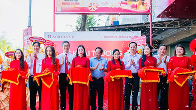 Inauguración de la oficina de transacciones de Hung Phu - Sucursal Cai Rang de Agribank, Can Tho
