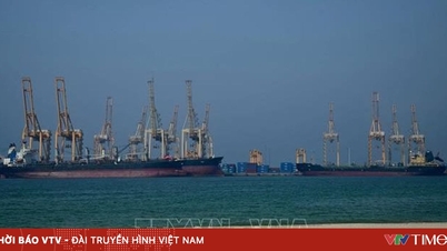 Körfez ülkelerinin petrol ihracatı yaklaşık %50 oranında düştü.