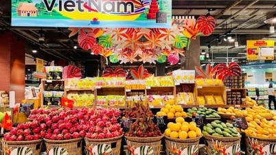 Vietnam malları yurtdışında: Piyasa verimliliği en yüksek ölçüttür.