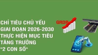 [Infographic] Key indicators for the period 2026-2030 to achieve "double-digit" growth targets