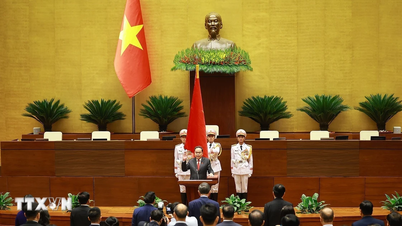 Brief biography of the Chairman of the 16th National Assembly, Tran Thanh Man