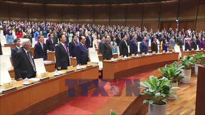 Overview of the Grand Opening Ceremony of the First Session of the 16th National Assembly