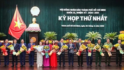 De Volksraad van Ho Chi Minh-stad: een centrum voor toezicht en een drijvende kracht achter ontwikkeling.