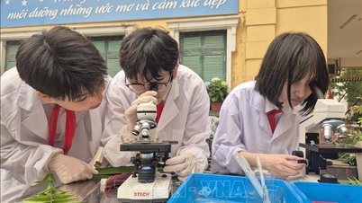 Yapay zekâ uygulamaları, Hanoi'deki öğrencilerin bilgiye yaklaşım biçimini değiştirmeye katkıda bulunuyor.