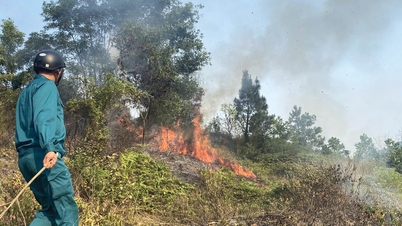 गर्मी के मौसम के चरम पर जंगल की आग की रोकथाम के लिए सक्रिय उपाय।