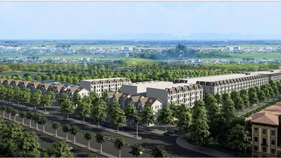 Hai Phong: Povolení k ochraně životního prostředí uděleno společnosti Thang Duyen Trading and Construction Co., Ltd.