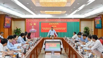 लैंग सोन प्रांतीय पार्टी समिति की स्थायी समिति के लिए पोलित ब्यूरो के निष्कर्ष संख्या 02 की घोषणा और निरीक्षण योजना (चरण 2) को लागू करने के लिए सम्मेलन।