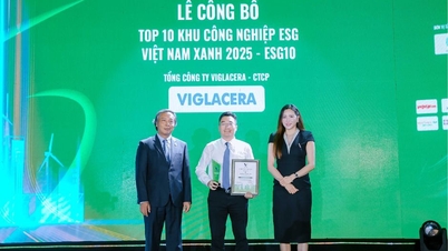 A Viglacera a 2025-ös ESG Awards két legfontosabb kategóriájában a top 10-be került.