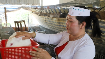 Uma mulher Muong em Quang Khe escapou da pobreza aprendendo a criar coelhos online.
