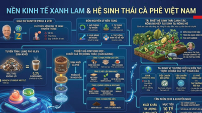 L'industrie du café vietnamienne évolue vers un écosystème plus vert, avec des recettes d'exportation atteignant 8,92 milliards de dollars.
