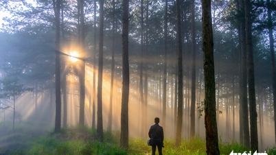 Da Lat varázslatos útjai a felhővadászat szezonjában.