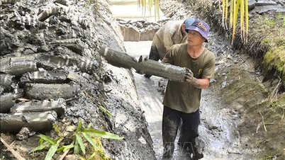 Farmers are being flexible in avoiding salinity during the peak of the dry season.