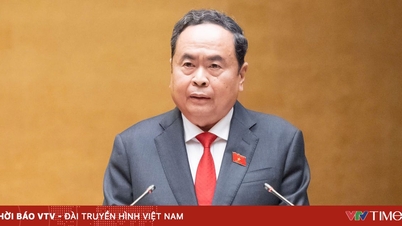 Infografía: Breve biografía del Presidente de la 16ª Asamblea Nacional, Tran Thanh Man