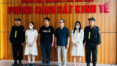 Er is een strafrechtelijk onderzoek gestart en er zijn aanklachten ingediend tegen personen wegens overtredingen in Bao Tin Minh Chau.