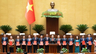 Kameraad Nguyen Dinh Trung, lid van het Centraal Comité van de Partij en secretaris van het Partijcomité van de stad Hue, is benoemd tot hoofd van de delegatie van de stad Hue naar de Nationale Vergadering.