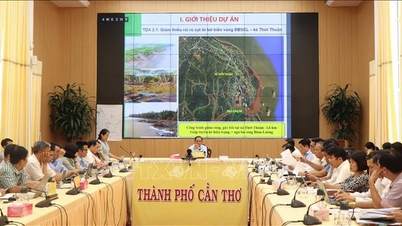 Enhancing climate resilience for the Mekong Delta