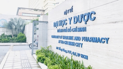 Ho Chi Minh City University of Medicine and Pharmacy slutför antagningsmetoden för 2026.