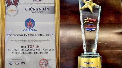 A Viglacera Corporation – JSC recebe o prêmio "Top 10 Leading Brands in Vietnam 2023".