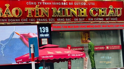 Mit mondott a Bao Tin Minh Chau, miután megdöbbentette vezetőjének bíróság elé állításának híre?
