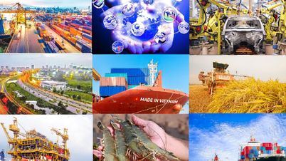 Approval of the Program for Expanding into International Markets in the period 2026-2030