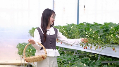 Khi nông nghiệp “bắt nhịp” du lịch