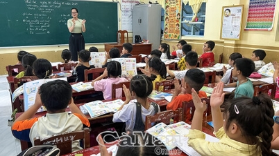To make English the second language in schools.