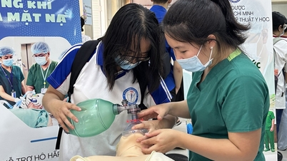 الرسوم الدراسية في جامعة هو تشي منه للطب والصيدلة: أعلى مستوى 90 مليون دونغ فيتنامي، وأدنى مستوى 30 مليون دونغ فيتنامي/سنة.