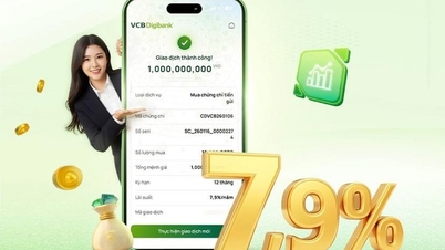 Vietcombank issues online certificates of deposit with interest rates up to 7.9% per year.