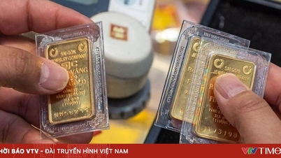 Official information regarding the legality of gold transactions using promissory notes.