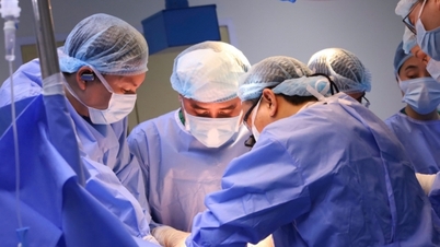 26-year-old man donates organs, saving 7 lives.