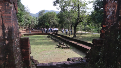 Information about the mysterious sacred road at My Son Sanctuary has been released.
