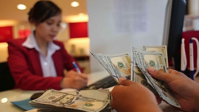 เช้าวันที่ 7 เมษายน: อัตราแลกเปลี่ยนกลางเพิ่มขึ้น 2 ดอง