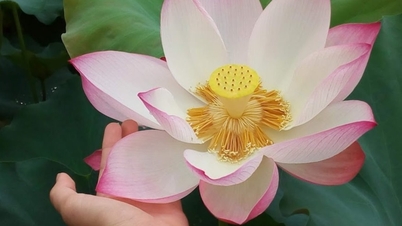건강한 습관을 기르세요.