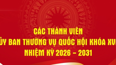 Membrii Comisiei Permanente a celei de-a XVI-a Adunări Naționale, mandatul 2026-2031