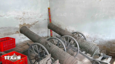 Ha Tinh: Efforts to protect national heritage and treasures.