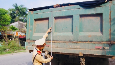 Thai Nguyen: Análisis exhaustivo de vehículos con una capacidad de carga de 15.000 kg o más.