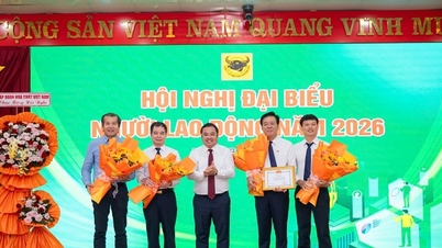 บริษัท บินห์เดียน เฟอร์ติไลเซอร์ จำกัด (มหาชน) มุ่งเน้น 5 ทิศทางหลักสำหรับปี 2026