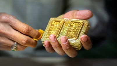 7 April: Harga emas tetap tidak berubah, kecuali untuk satu bisnis yang menurunkan harga hingga 2 juta VND per ons.