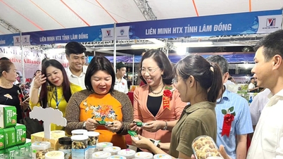 Följer med utvecklingen av staden Da Nang.