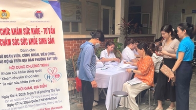 Velar por la salud de las mujeres afiliadas a sindicatos y trabajadoras en el distrito de Tay Tuu.