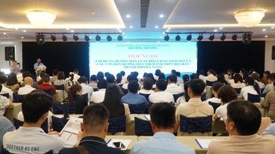 Da Nang: Tillhandahåller praktisk vägledning för företag i implementeringen av kemikalielagen.