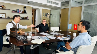 Definir la estrategia de las empresas vietnamitas para acceder al mercado sudamericano.