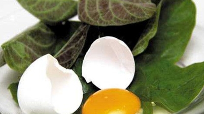 اثرات سم زدایی برگ گواوا