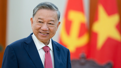 Biografi ringkas Setiausaha Agung dan Presiden To Lam