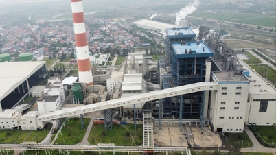 Inspecionar e monitorar continuamente os sistemas automatizados de monitoramento de águas residuais e gases de escape.