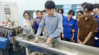 Khanh Hoa met en place un écosystème complet et moderne pour les startups innovantes.