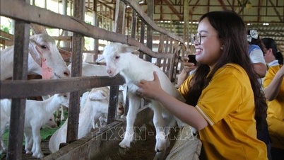 ការលុបបំបាត់ «ចំណុចកកស្ទះ» ដើម្បីធានាថាវិស័យកសិកម្ម និងទេសចរណ៍បរិស្ថានអភិវឌ្ឍដល់សក្តានុពលពេញលេញរបស់វា។